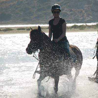 riding centre with rider and horses